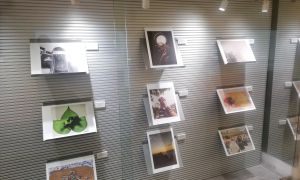 Exposició fotogràfica Premi