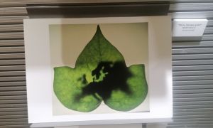 Exposició fotogràfica Premi