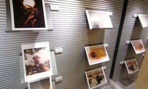 Exposició fotogràfica Premi